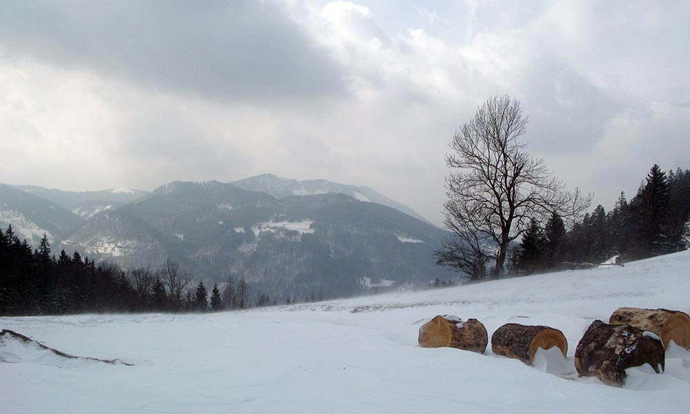 Schweinbergsattel, Blick nach Westen